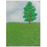 Tree on Hill - First Oil ...