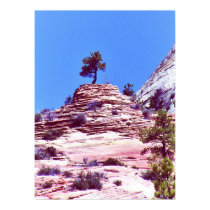 Tree On Rocky Pinacle posters
