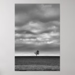 Tree On The Hill posters