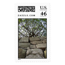 tree over stone wall postage