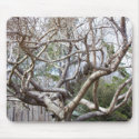 Tree Pad mousepads