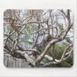 Tree Pad mousepads