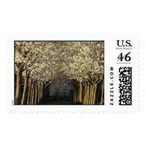 Tree path postage