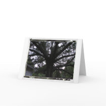 Tree Photo Greeting Card