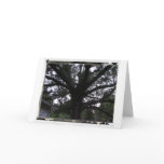 Tree Photo Greeting Card