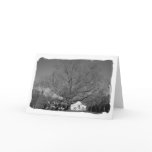 Tree Photo Greeting Card cards