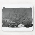 Tree Photo Mousepad mousepads