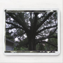 Tree Photo Mousepad