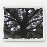 Tree Photo Mousepad