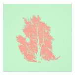 tree photographic print