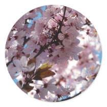 tree,pink blossoms on tree stickers by pinkypetals tree,pink blossoms on tree stickers
