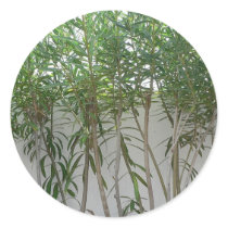 Tree Plants At White Wall stickers by lifesphere Tree Plants At White Wall stickers