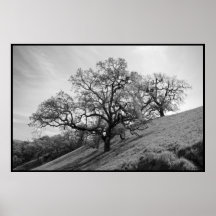 Tree Poetry Print