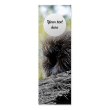 Tree Porcupine Business Card Template