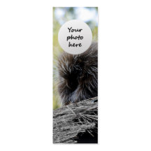 Tree Porcupine Custom Bookmark Business Card