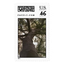 Tree postage by elysemabe Tree postage