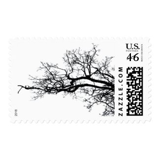 tree stamp