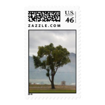 tree postage by rednecknotek tree postage