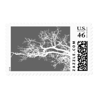 tree stamp