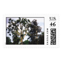 Tree Postage Stamp