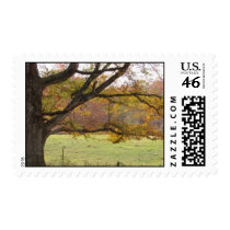Tree postage