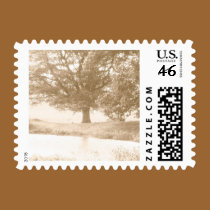 Tree postage