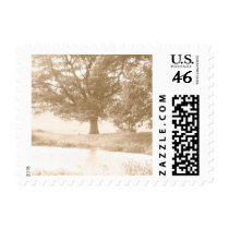 Tree Postage