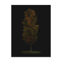Tree postcards