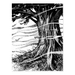 Tree Postcard