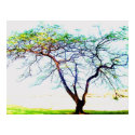 Tree posters