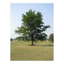 Tree posters by iiiyaaa Tree posters