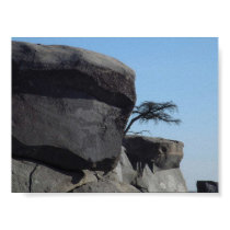 Tree posters by squinter96 Tree posters