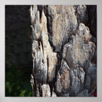 Tree Poster