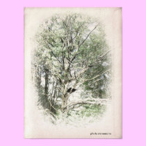 Tree poster posters