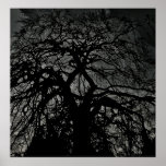 tree print