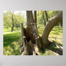 Tree Poster posters