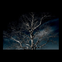 Tree posters