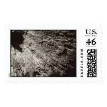 Tree Ray postage