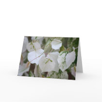 Tree RedBud "SilverCloud" cards by Fairyscape Tree RedBud "SilverCloud" cards