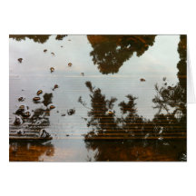Tree reflection card