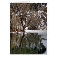 Tree Reflection Cards