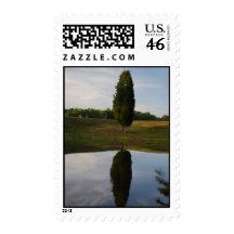 Tree Reflection Stamp
