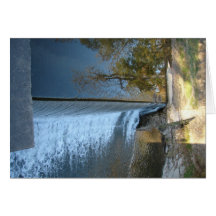 Tree Reflections at The Mill Dam Card