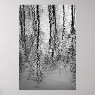 Tree reflections posters
