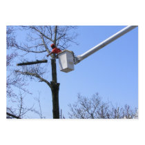 Tree Removal ~ ATC business cards