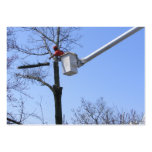 Tree Removal ~ ATC Business Card Template