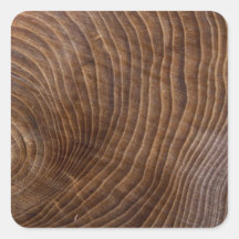 Tree rings square Sticker