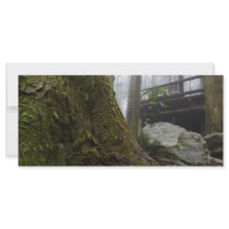 Tree Root Rack Card Design