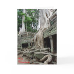 Tree roots at Ta Phrom  Cards