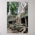 Tree Roots at Ta Phrom posters